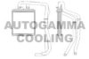 AUTOGAMMA 105497 Heat Exchanger, interior heating